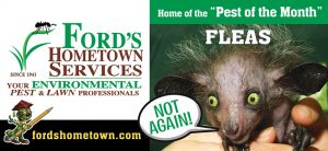 An advertisement for Ford's Hometown Services