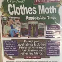 Pheromone Clothes Moth Traps