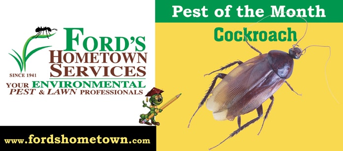 Pest of the Month, Cockroaches