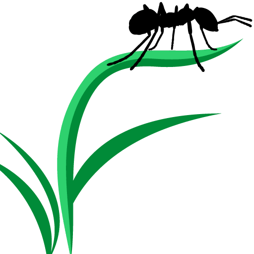 Help Wanted- Lawn Care Technician