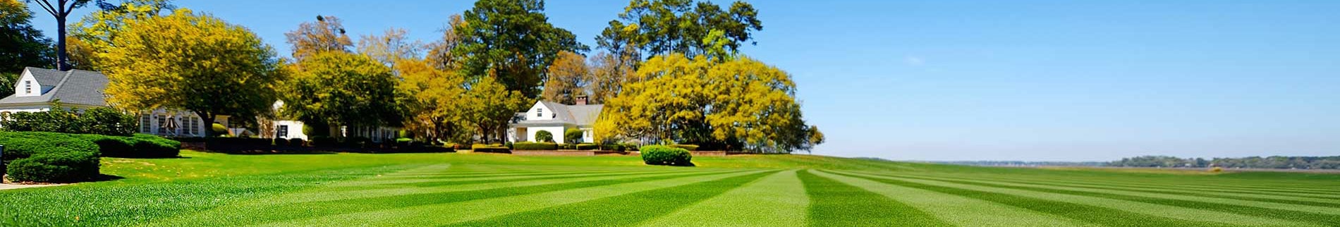 Lawn Care in Worcester, MA