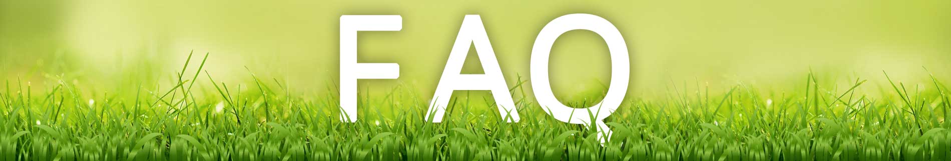 closeup of lawn grass - frequently asked questions